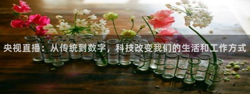 360足球体育直播免费观看：央视直播：从传统到数字，科技改变我们的生活和工作方式