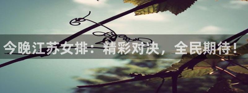 欧联杯直播360：今晚江苏女排：精彩对决，全民期待！