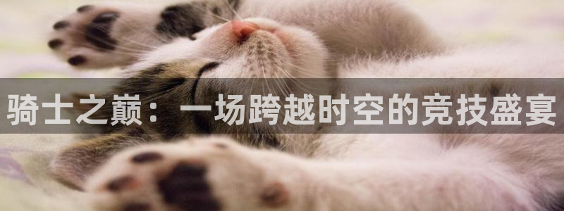 360直播低调看球：骑士之巅：一场跨越时空的竞技盛宴