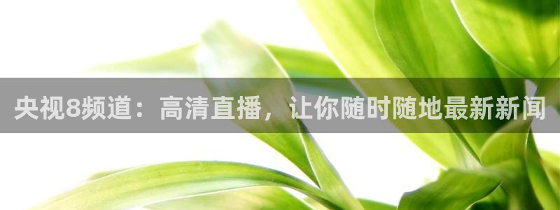 360足球网雨燕直播：央视8频道：高清直播，让你随时随地最新新闻