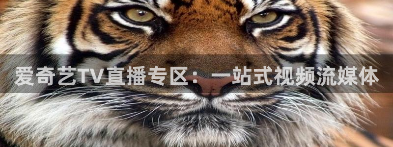 360高清体育直播：爱奇艺TV直播专区：一站式视频流媒体